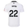 Koszulka Piłkarska Fulham FC Iwobi #22 2024-25 Domowa Męska