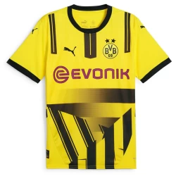 Koszulki Piłkarskie BVB Borussia Dortmund 2024-25 Cup Alternatywna Męska