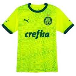 Koszulki Piłkarskie Palmeiras 2023-24 Alternatywna Męska