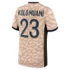 Randal Kolo Muani #23 Koszulki Piłkarskie Paris Saint-Germain PSG 2024-25 Fourth Męska